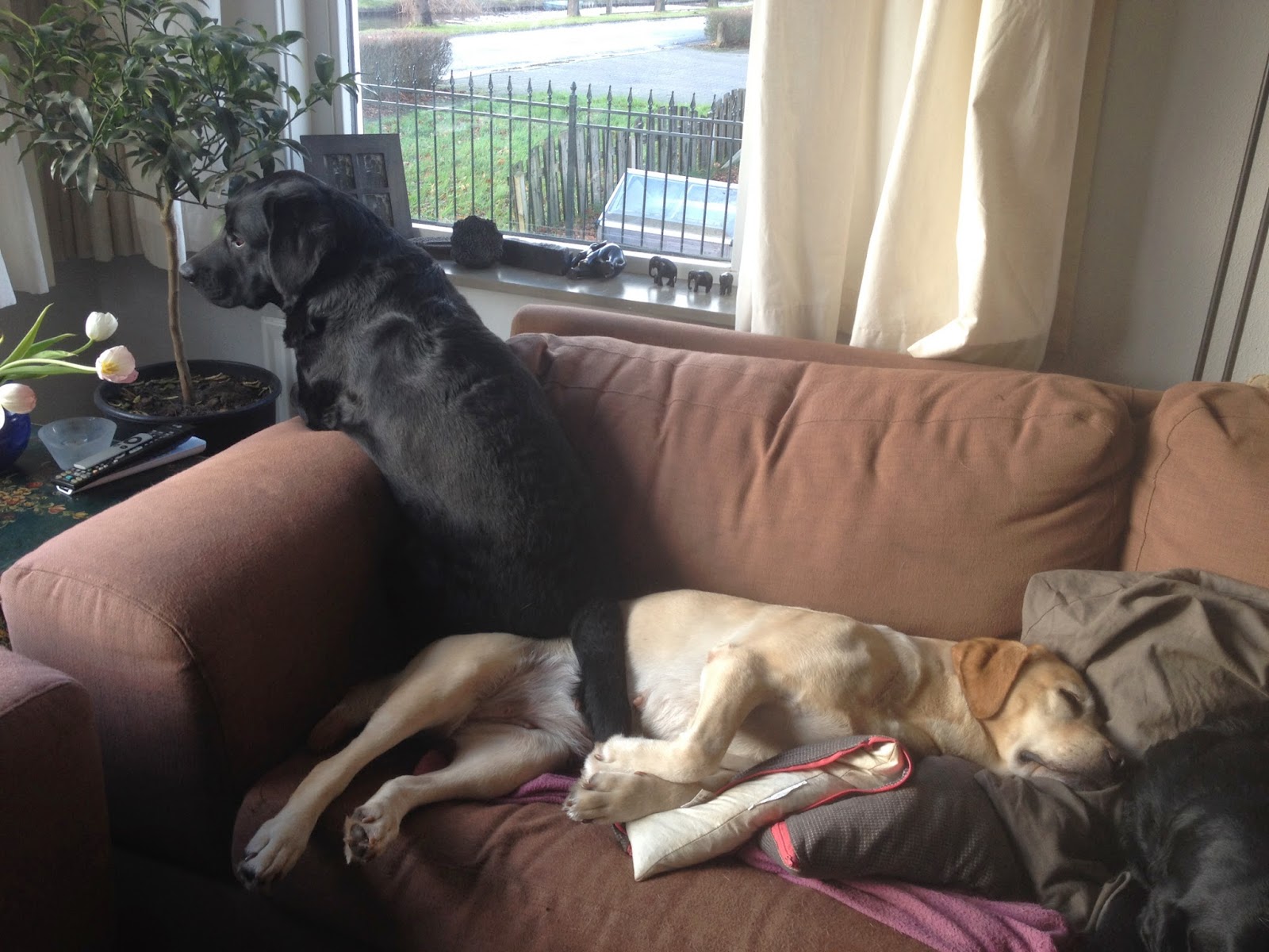 Foto bij Cosy Couching