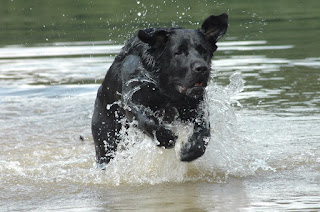 Foto bij Haa-Twee-Oo (H2O)