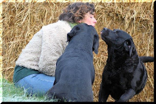 Foto bij Het zwarte schaap