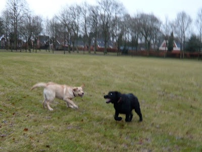 Foto bij Bro meets Sis!