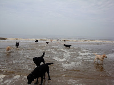 Foto bij Noordwijk aan ZEEEEEEEEEEEEEEEEEEEEEEEEEE!