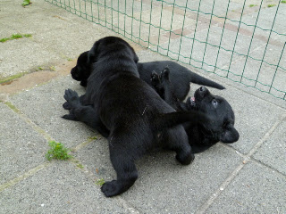 Foto bij Naar buiten