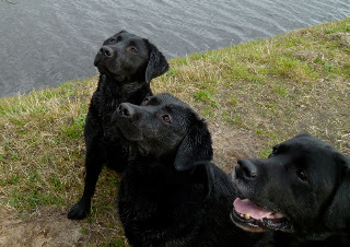 Foto bij Wij zijn al TWEE!!!!