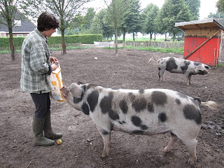 Foto bij Over Afscheid nemen en Blijven
