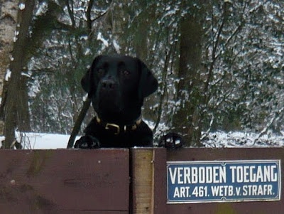 Foto bij Outdoor Winter Games