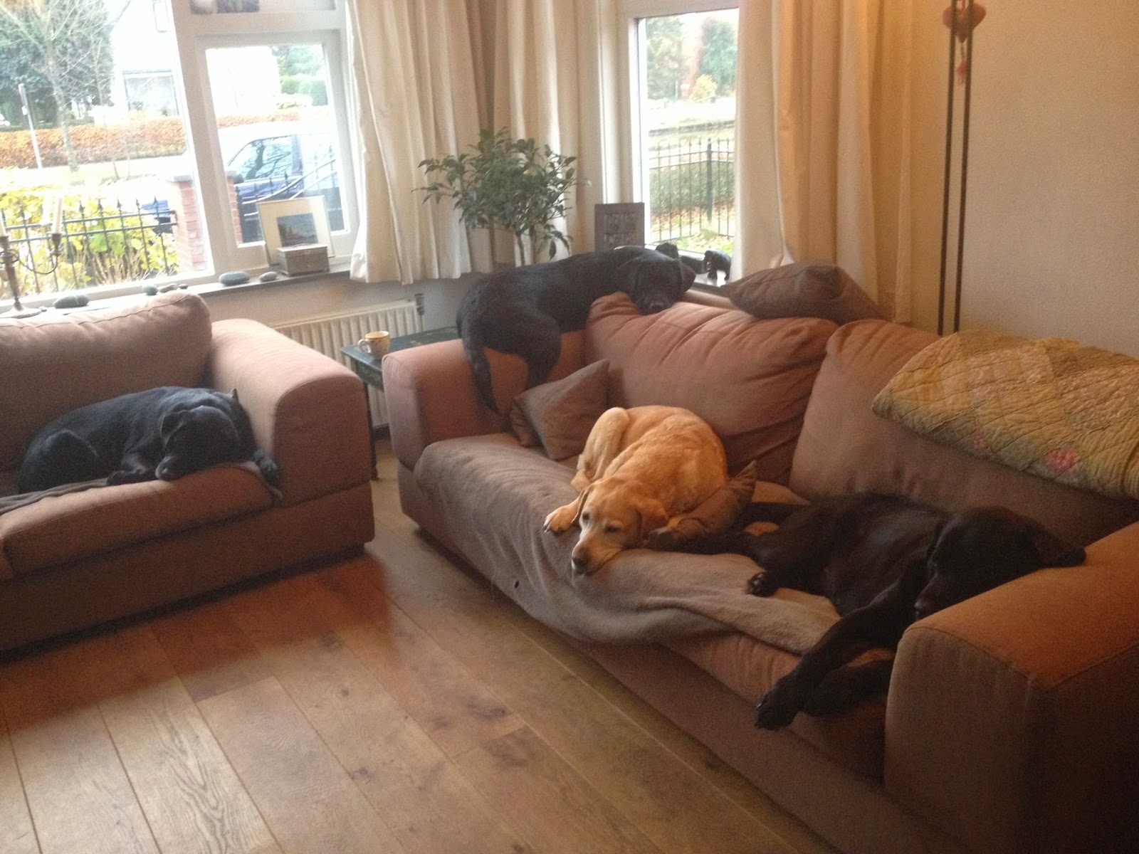 Foto bij Cosy Couching
