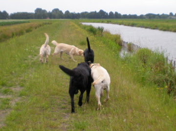 Foto bij Quality time met Family&Friends
