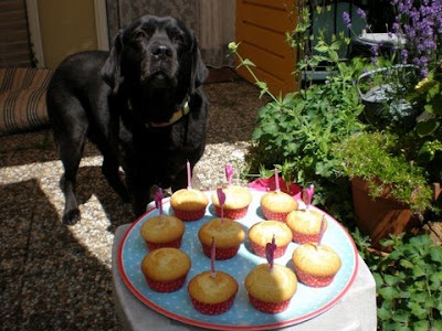 Foto bij Born on the 5th of July