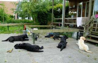 Foto bij Naar buiten