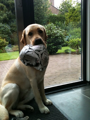 Foto bij JanetSailor-blend 2 jaar!
