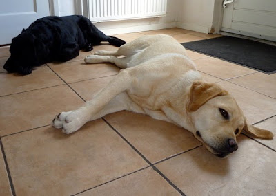Foto bij Relaxzzzz...