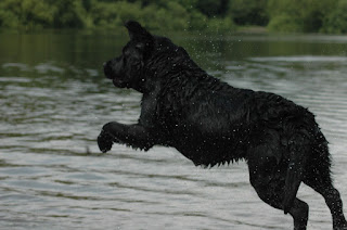 Foto bij Haa-Twee-Oo (H2O)