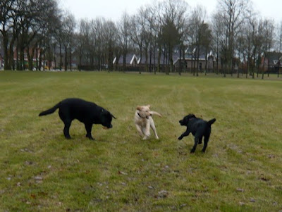Foto bij Bro meets Sis!