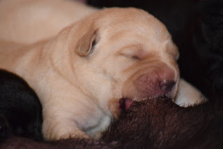 Foto bij Kleine Keetjes