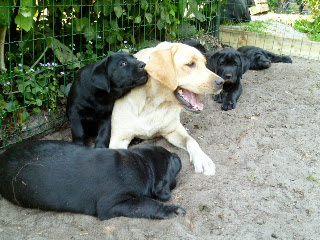 Foto bij 1 Jaar!!!