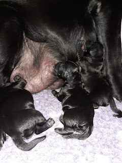 Foto bij Sophie pakt uit!