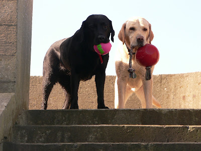 Foto bij La DOLCE Vita