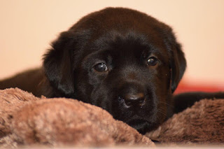 Foto bij Playtime!