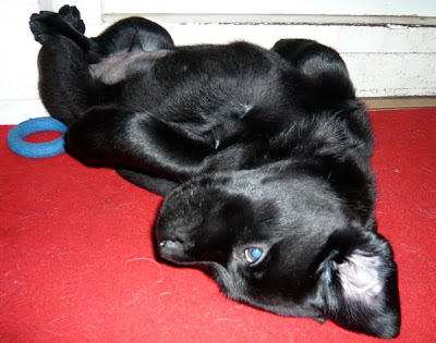 Foto bij ff Chillen...