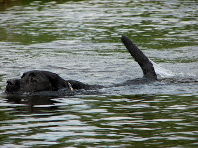 Foto bij Logeren bij familie