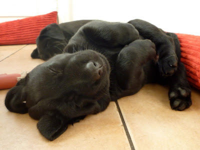 Foto bij Black = BEAUTIFUL