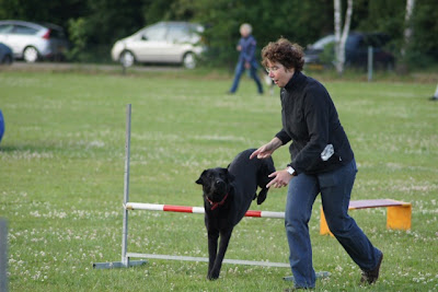 Foto bij Over Winnen