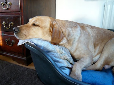 Foto bij ff Chillen...