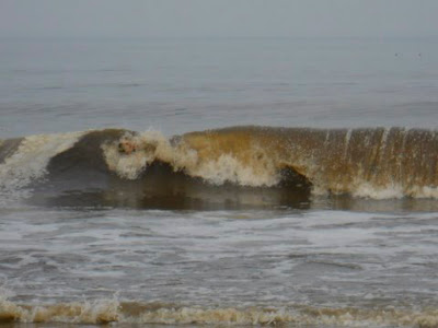 Foto bij Noordwijk aan ZEEEEEEEEEEEEEEEEEEEEEEEEEE!