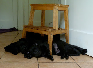 Foto bij (P)update...