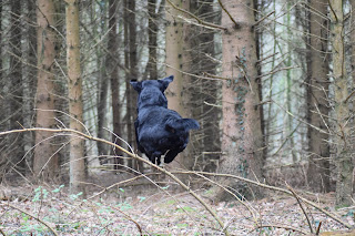 Foto bij Kleine Keetjes