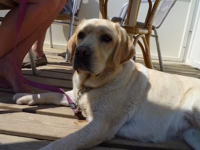 Foto bij Jaarlijkse Stranddag