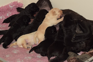 Foto bij Kleine Keetjes