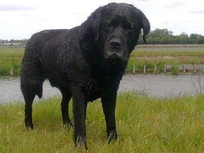 Foto bij Born on the 5th of July