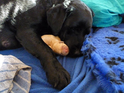 Foto bij Cato's Kado