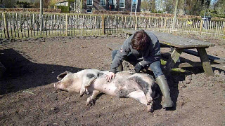 Foto bij Over Afscheid nemen en Blijven