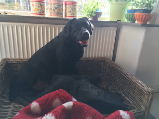 Foto bij Sophie pakt uit!
