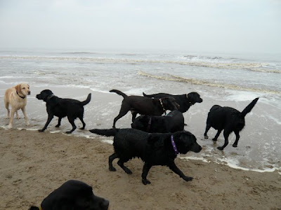 Foto bij Noordwijk aan ZEEEEEEEEEEEEEEEEEEEEEEEEEE!