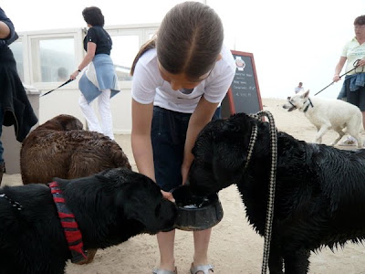 Foto bij Noordwijk aan ZEEEEEEEEEEEEEEEEEEEEEEEEEE!