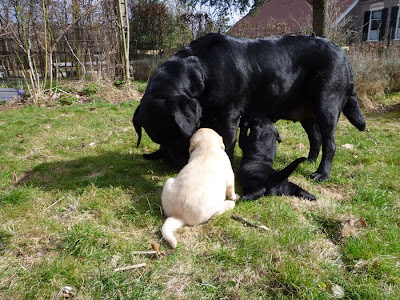 Foto bij In het zonnetje