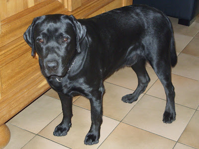 Foto bij JanetSailor-blend 2 jaar!