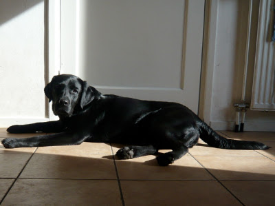 Foto bij Hoera!! Zonneschijn!