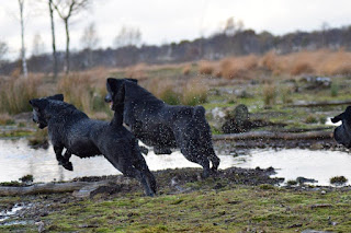 Foto bij Moeders en dochters
