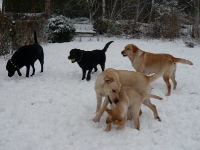 Foto bij Outdoor Winter Games