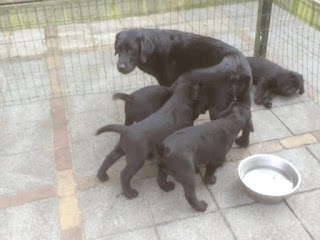 Foto bij Uitwisselingsproject
