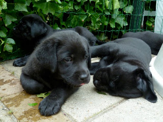 Foto bij Allemaal de liefste!