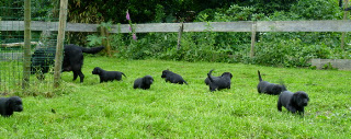 Foto bij Life is a Picknick