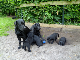 Foto bij (P)update...