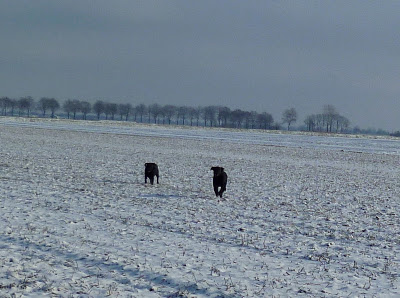 Foto bij De wereld wordt groter
