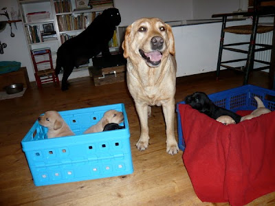 Foto bij Family Matters