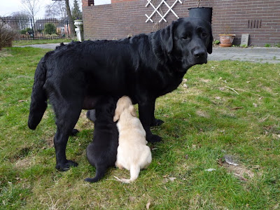 Foto bij In het zonnetje